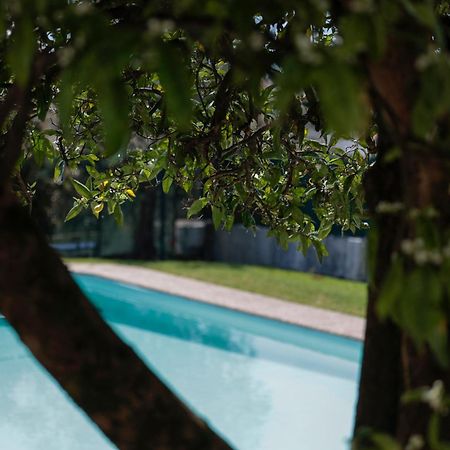 Casa Do Vale -Villa Rio Minho-Seixas-קמיניה מראה חיצוני תמונה