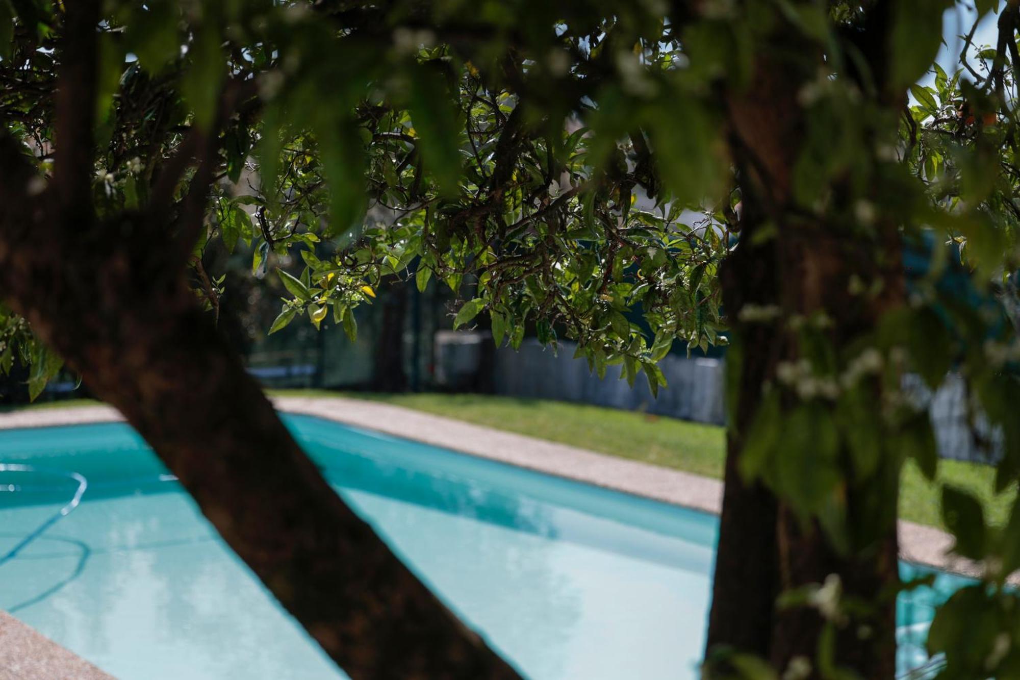 Casa Do Vale -Villa Rio Minho-Seixas-קמיניה מראה חיצוני תמונה